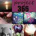 Project 366- Week 39