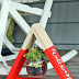 DIY Triangle Shelf Planter