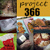 Project 365- Week 46