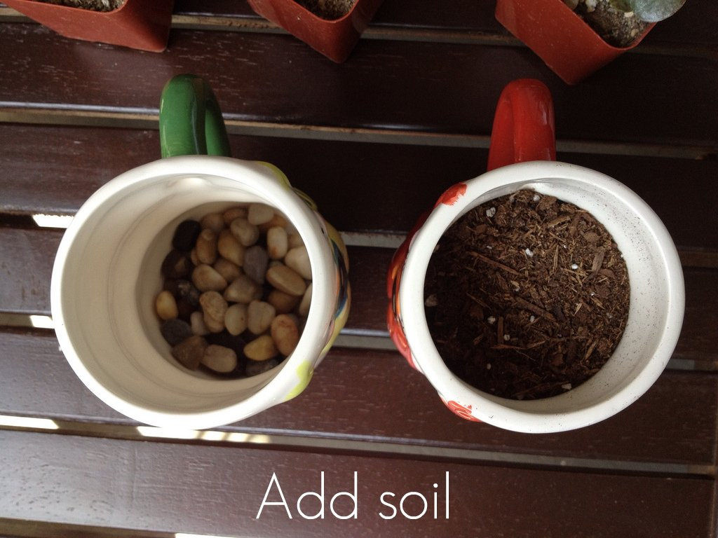 gardening for small spaces